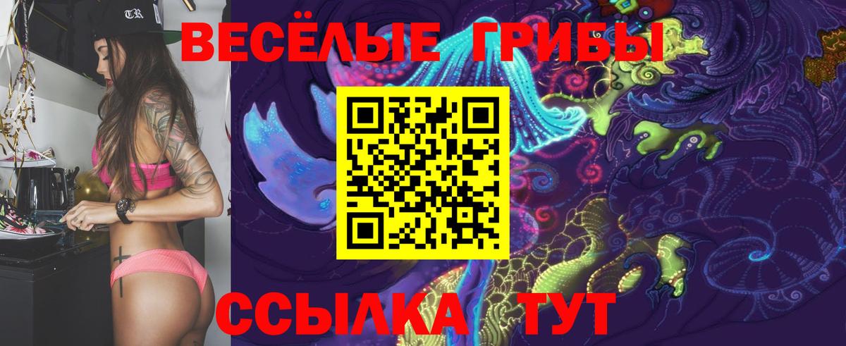 Гатчина  Псилоцибиновые грибы MAGIC MUSHROOMS  Вход с VPN 
